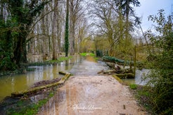 dsc_1390.jpg