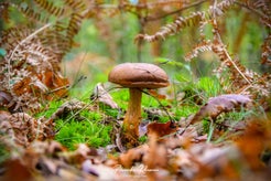 dsc_8264-01.jpg