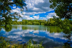 dsc_9740.jpg