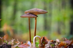 dsc_8253-01.jpg