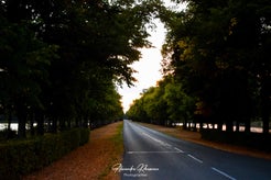 dsc_2556-1.jpg