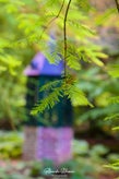 dsc_0573.jpg