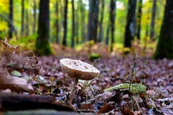 dsc_9291.jpg