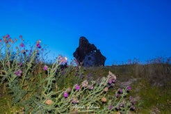 dsc_1177.jpg