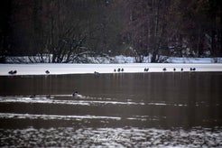 dsc_1908.jpg