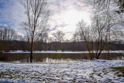 dsc_1903.jpg