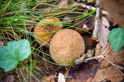 dsc_8275-01.jpg