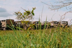 dsc_8082.jpg