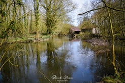 dsc_4005.jpg