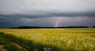 vlcsnap-2018-05-29-07h57m01s829-standard.jpg