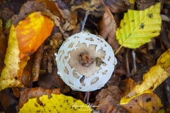 dsc_8280-01.jpg