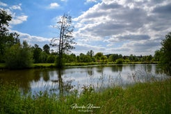 dsc_9944.jpg