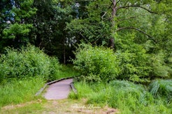 dsc_9929.jpg