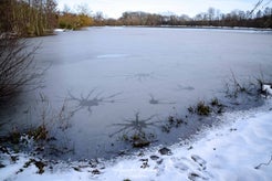dsc_1923.jpg