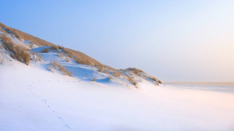 ameland-jan26-2-standard.jpg