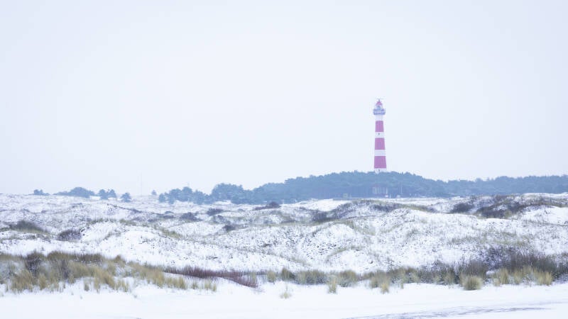 ameland-jan26-3-standard.jpg