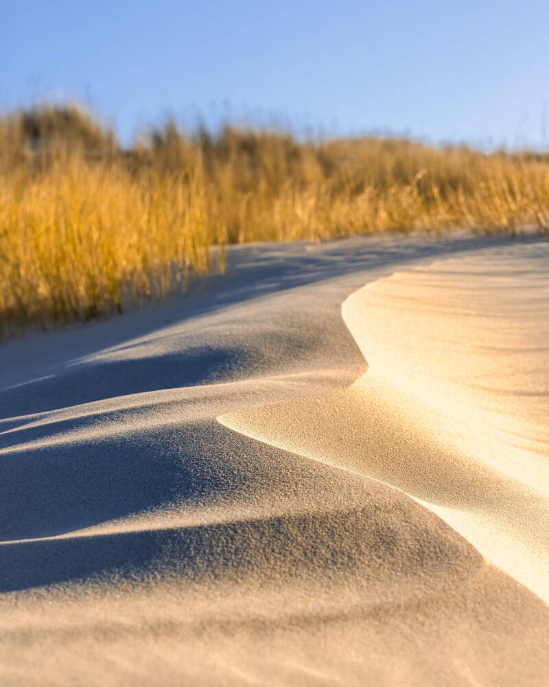 dune-standard.jpg