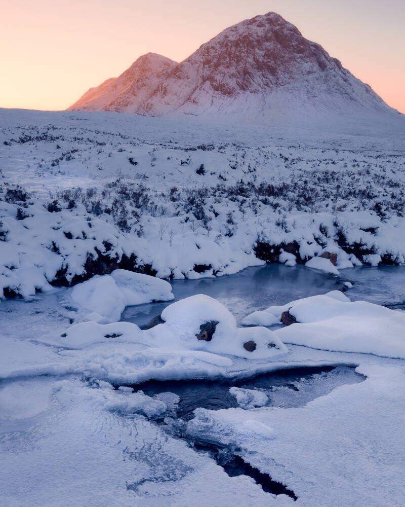 glencoe-12-standard.jpg