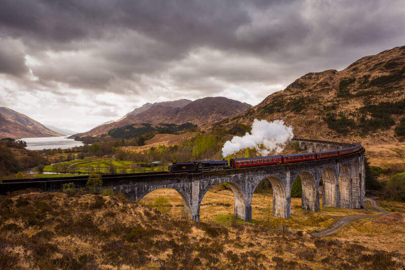 glencoe-4-standard.jpg
