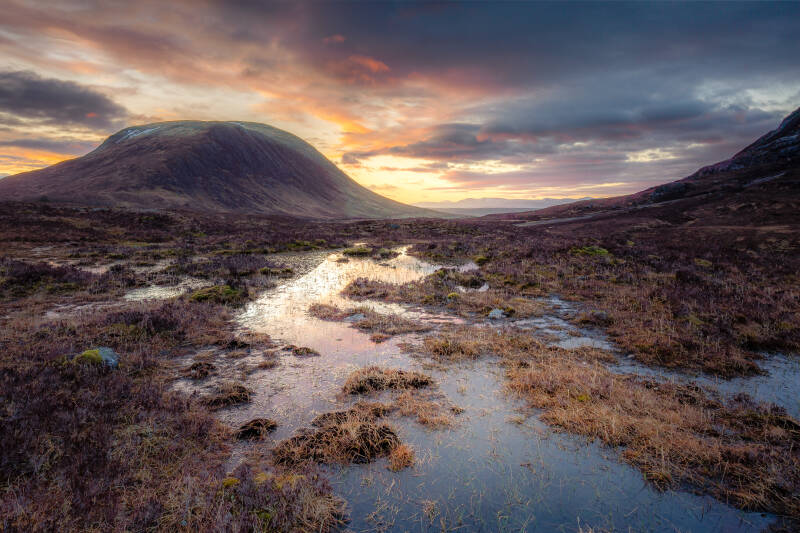 glencoe-9-standard.jpg