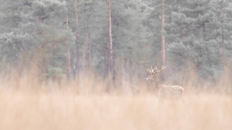 untitled-9-standard.jpg
