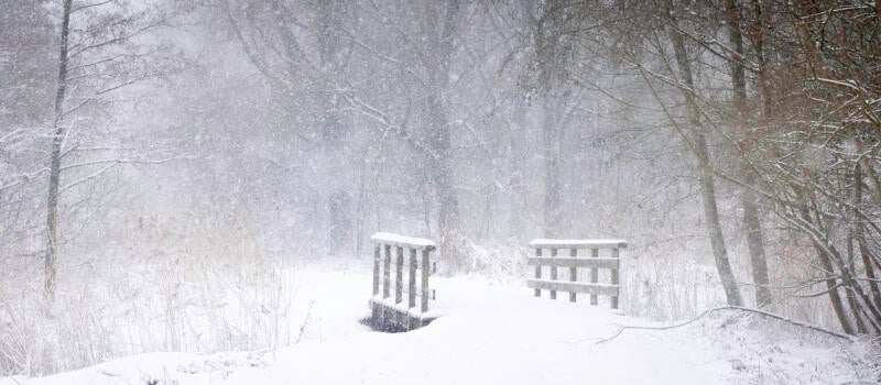 winter-jan-2026-2-standard.jpg
