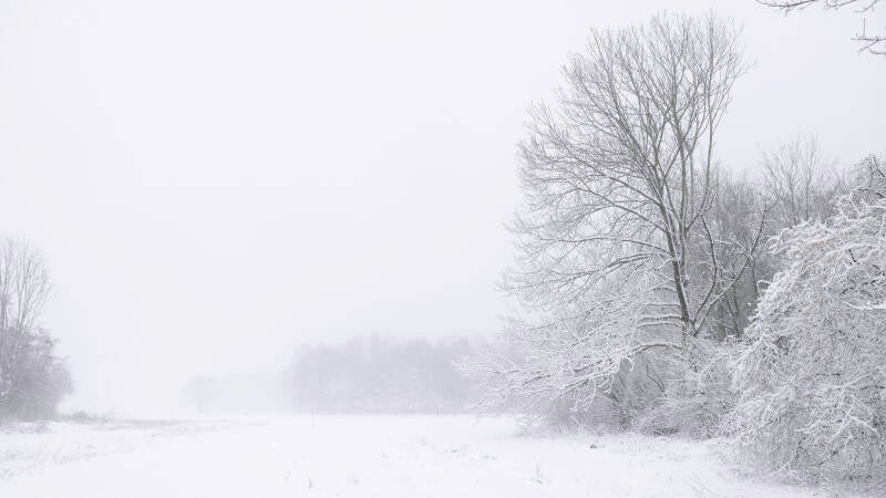 winter-jan-2026-3-standard.jpg