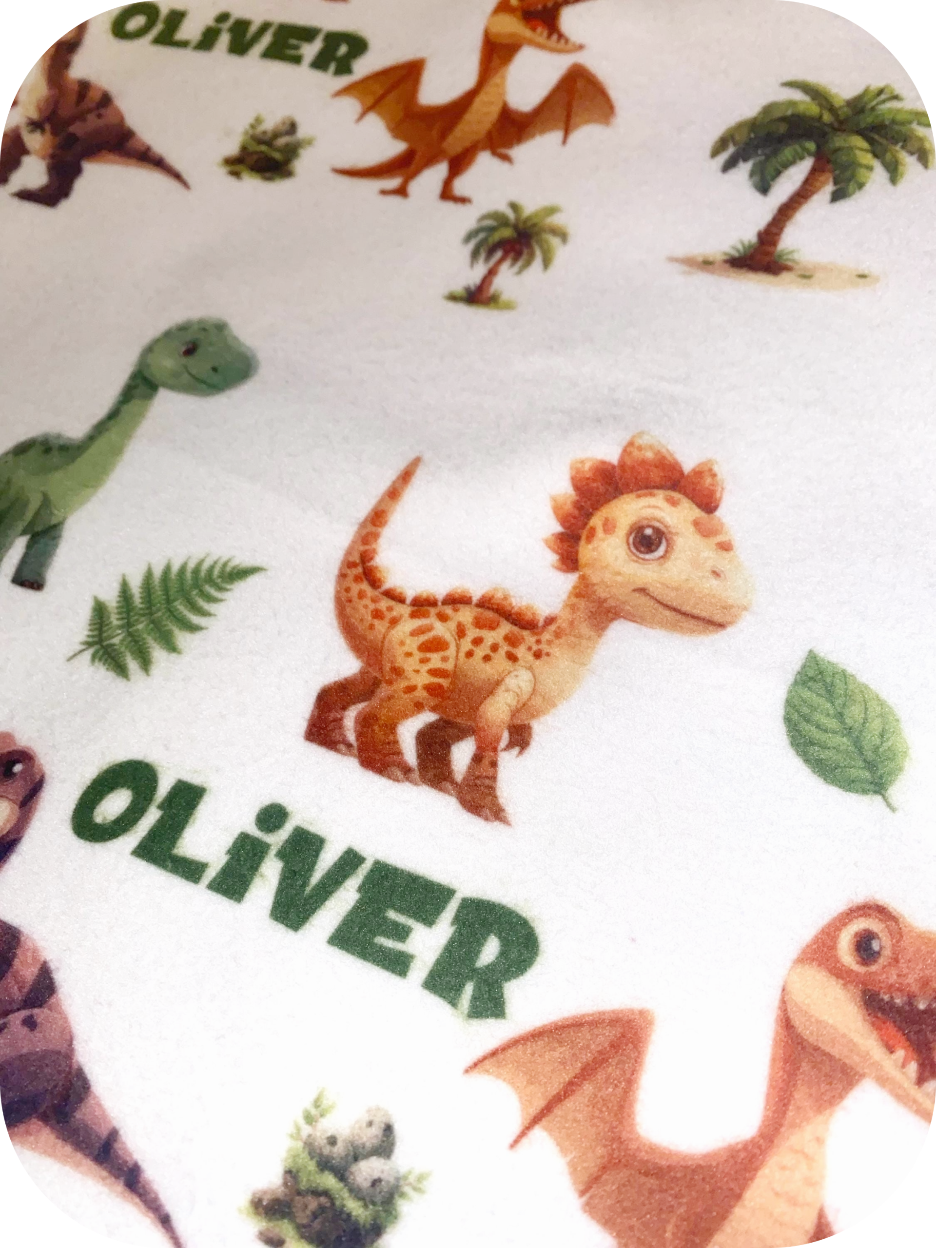 personalised dinosaur fleece blanket