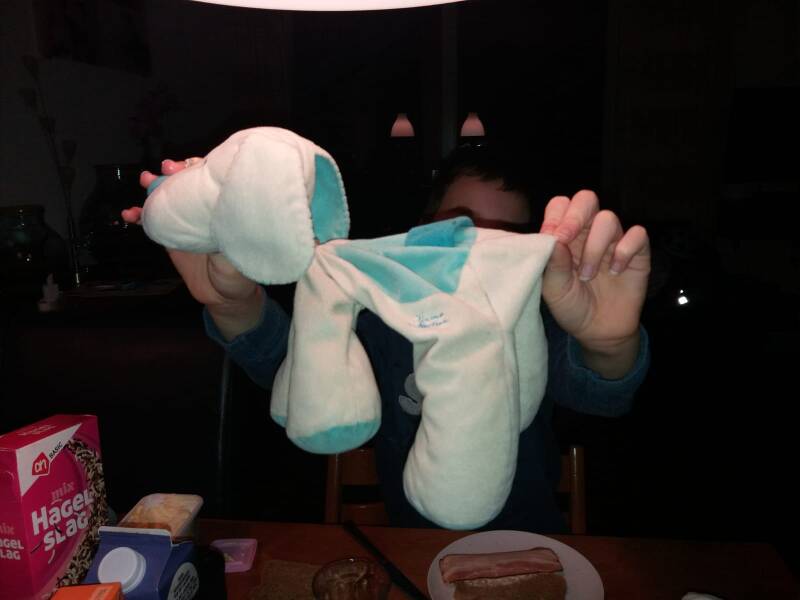 O de hond is leeggelopen