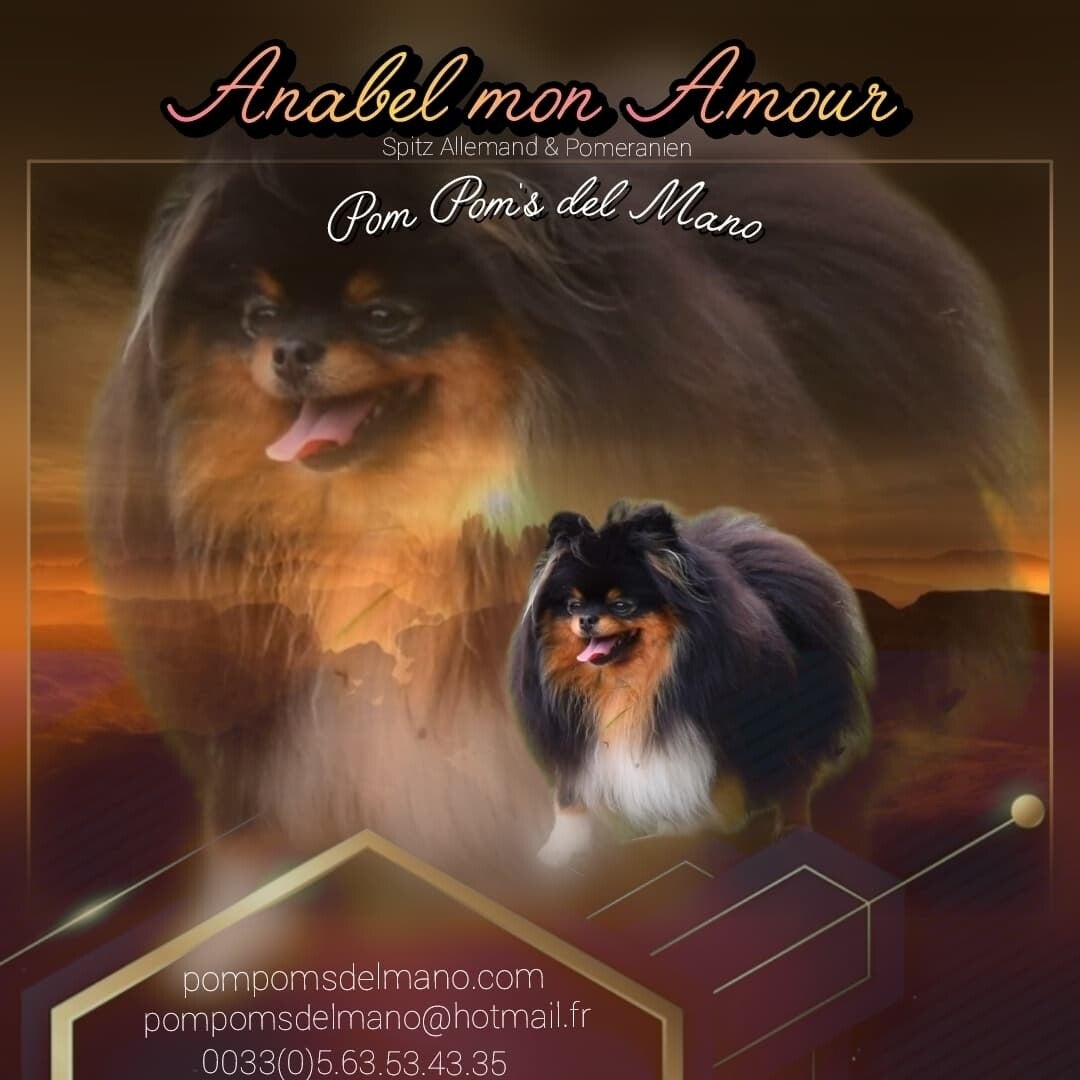 Maman Anabel mon Amour