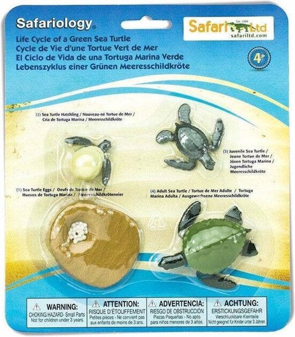 Safari Ltd | Levenscyclus - Schildpad