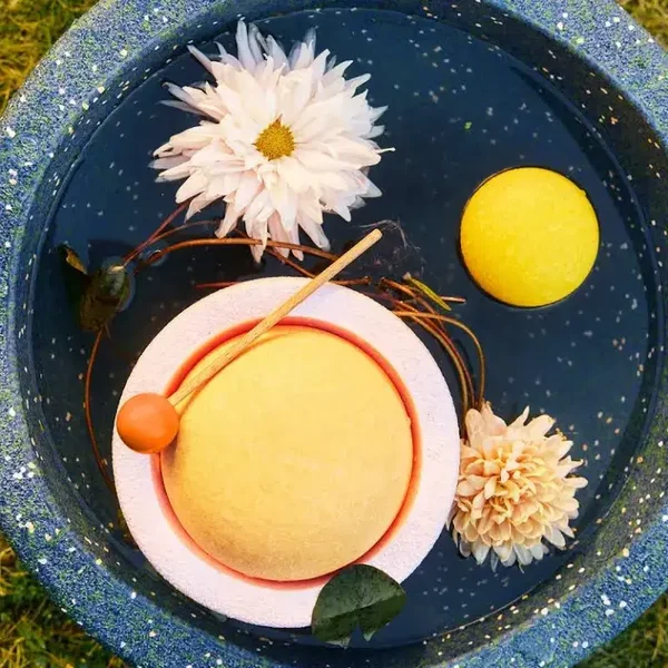 Stapelstein | Limited Edition special - Water Play Set Water Lily – inside Water Lily - Grow