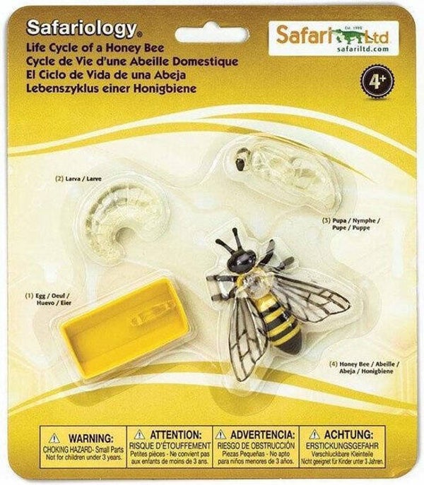 Safari Ltd | Levenscyclus - Bij