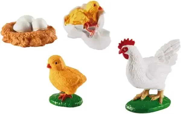 Eduplay | Levenscyclus - Kip