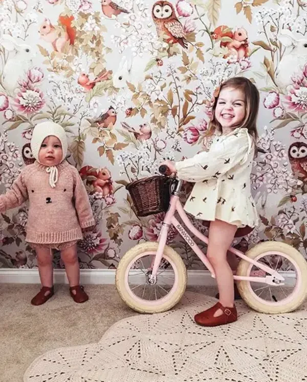 Banwood | Loopfiets First Go