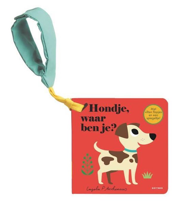 Boek | Hondje, waar ben je? - Buggyboekje