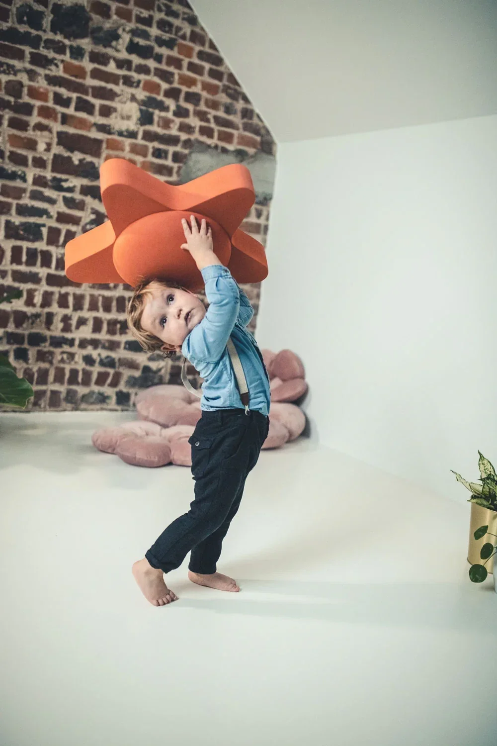 Moesplay | Zeester starfish