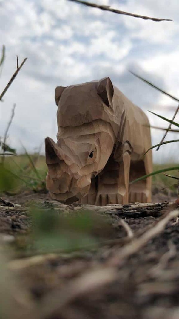 Wudimals | Neushoorn