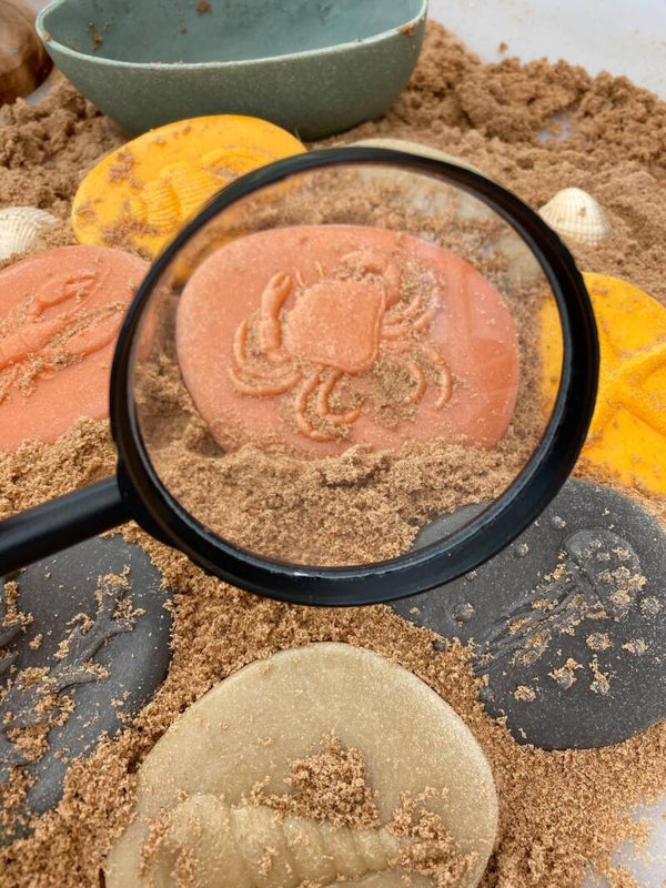 Yellow Door | Let's investigate - Seashore / Zee