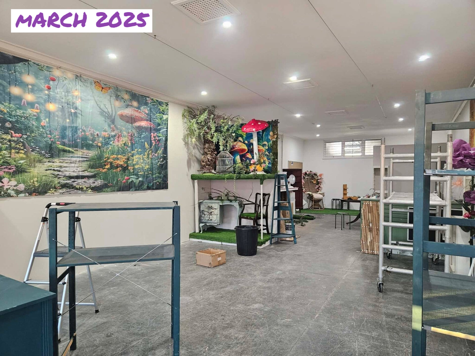 In The Enchanted Forest - Before