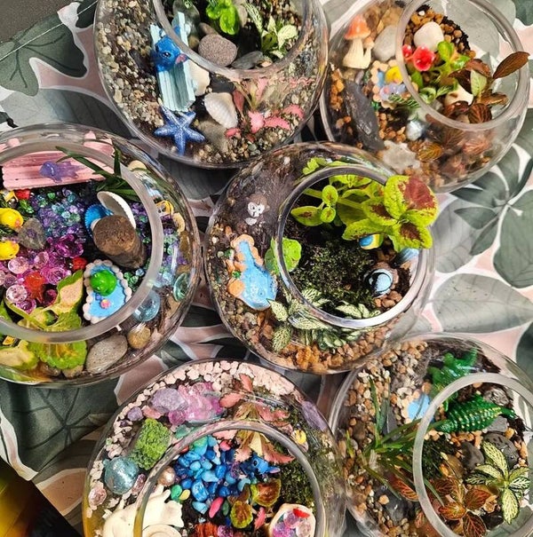 Junior Terrariums (1.5hrs)