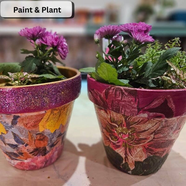 Paint & Plant Workshop (2hrs)