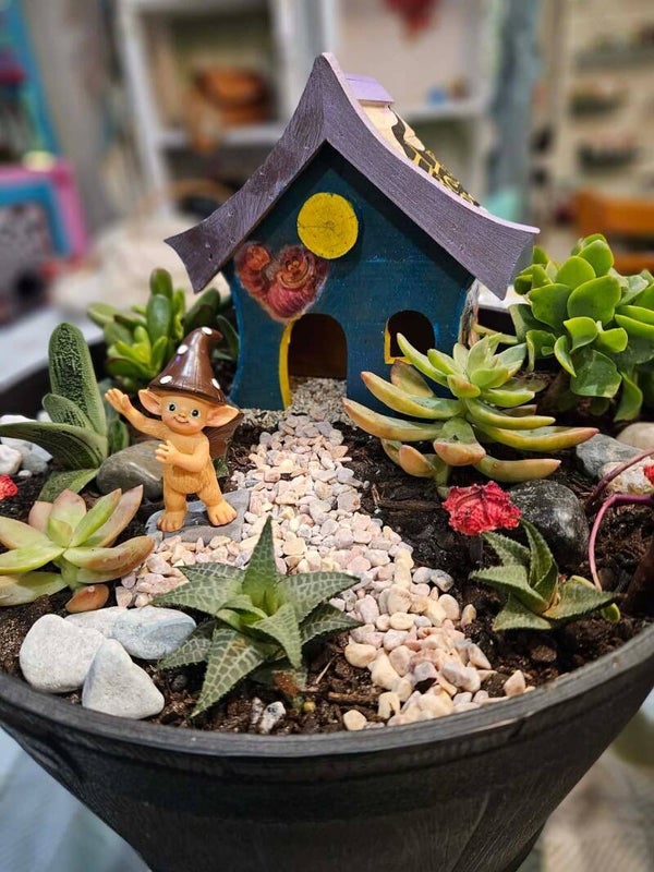 Succulent Fairy Garden Workshop (2.5hrs)