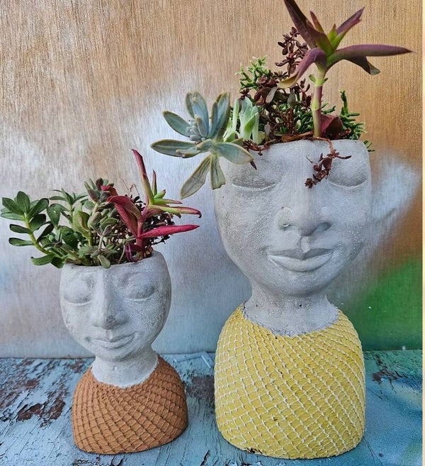 Succulent Head Workshop
