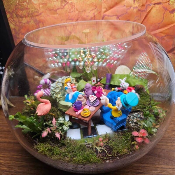Alice's Wonderland Terrarium