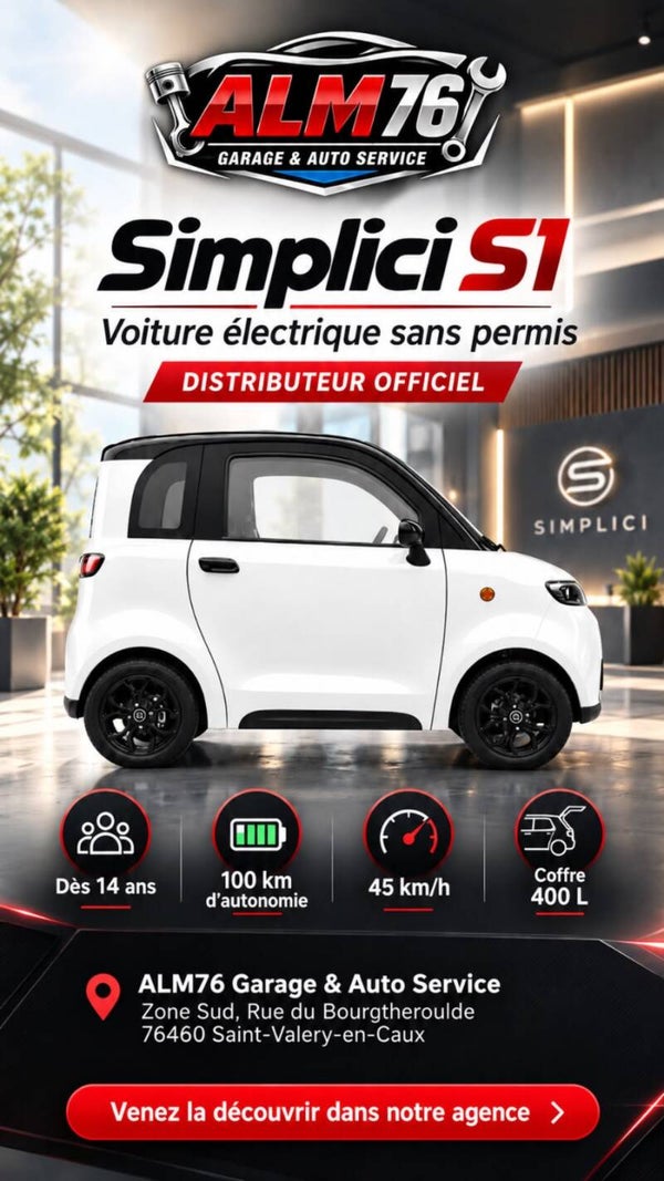voiture sans permis
