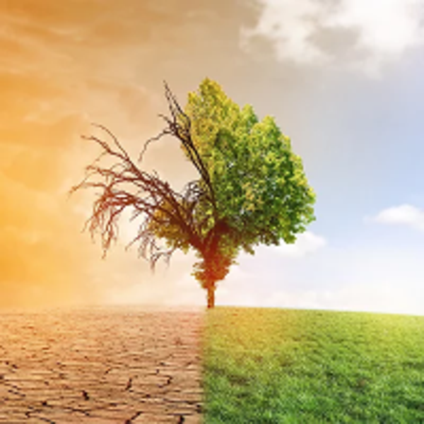 Soirée du 19 février 2026