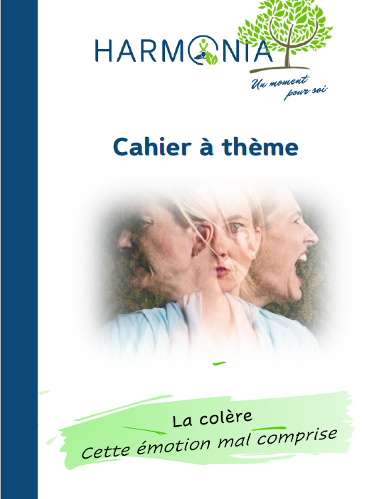 Cahier n° 2 - La colère