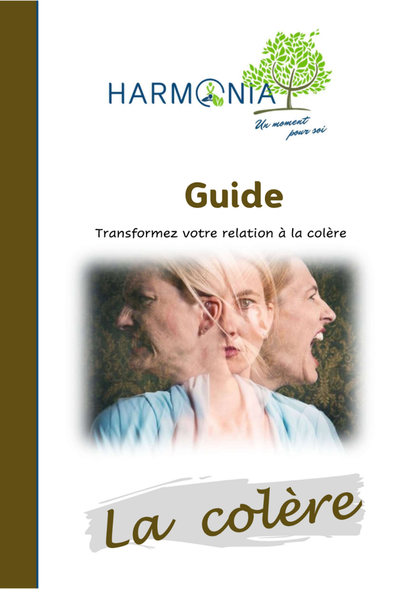Guide n° 2 - La colère