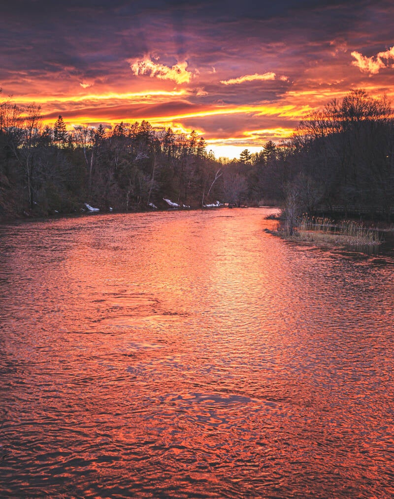 762_img_0682_1576x2000-standard.jpg